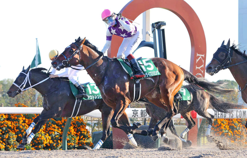 サンライズジパング（手前）が年長馬を倒してＪＲＡ重賞初勝利（カメラ・石田　順平）