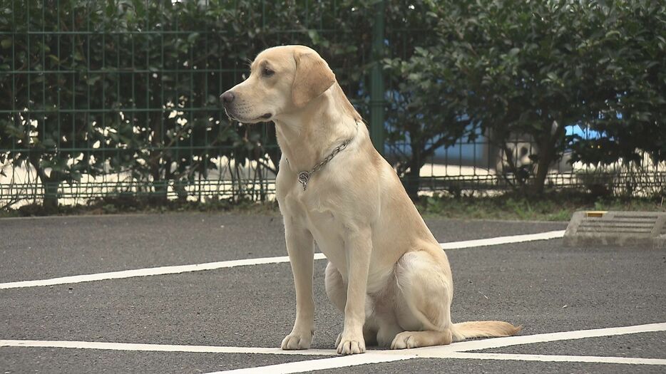 警察犬舎の開所式　