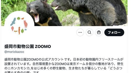 盛岡市動物公園 ZOOMO（ズーモ）の公式X