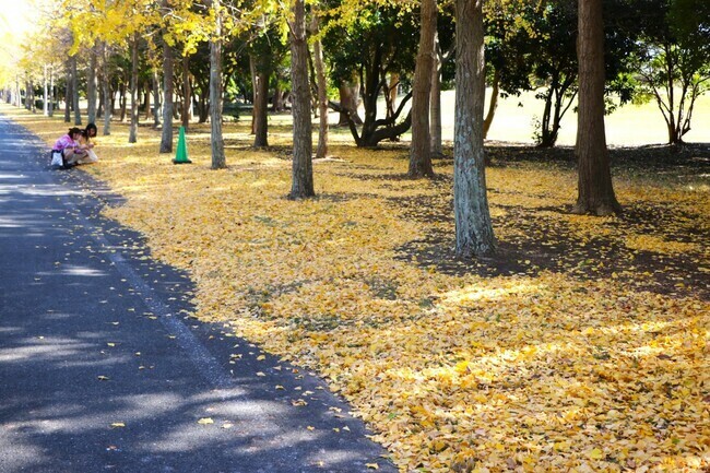 提供：公園財団　Parks Japan.F