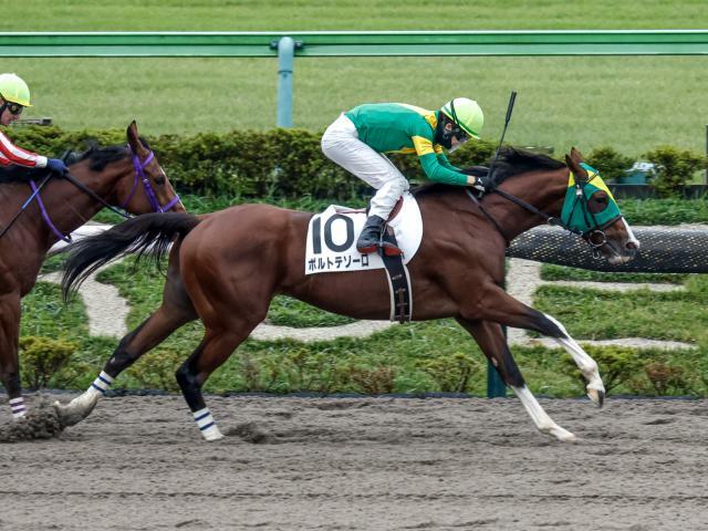 3番人気ボルトテソーロが勝利(撮影：下野雄規)