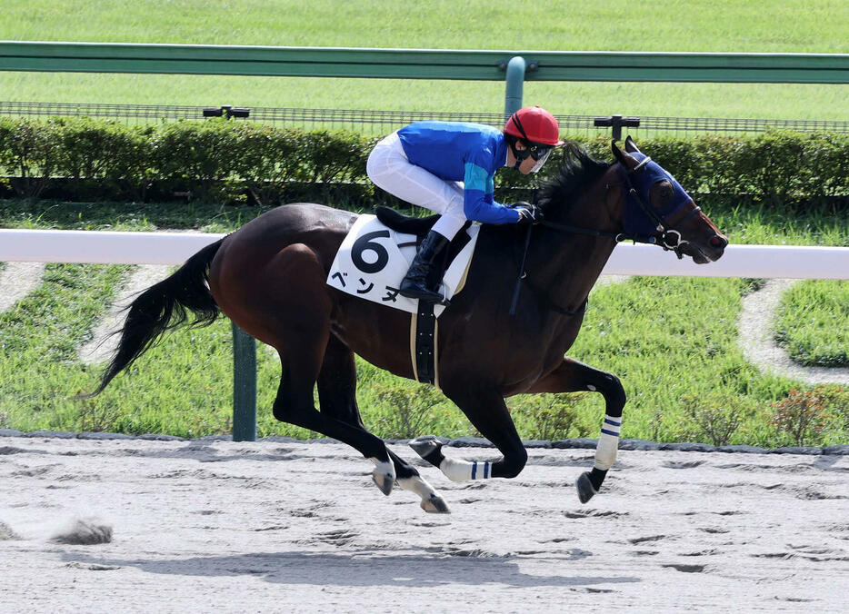 10月14日、新馬戦を制したベンヌ