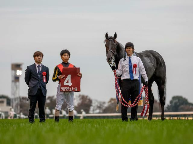 母父にケープクロスを持ち重賞を制したクロワデュノール(撮影：下野雄規)