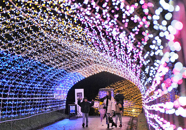 長さ計100メートル超のトンネルのイルミネーションなどを楽しむ来場者＝寒河江公園・つつじ園