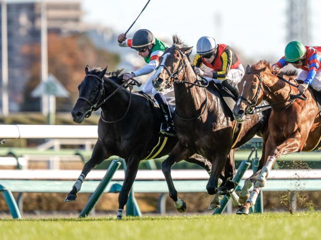 W.ビュイック騎手騎乗の3番人気ヴィンセンシオが勝利(撮影：下野雄規)