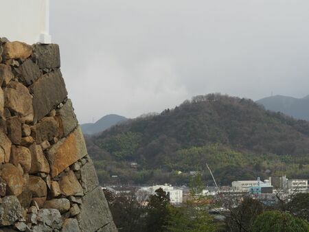 彦根城から望んだ佐和山城　撮影／西股 総生