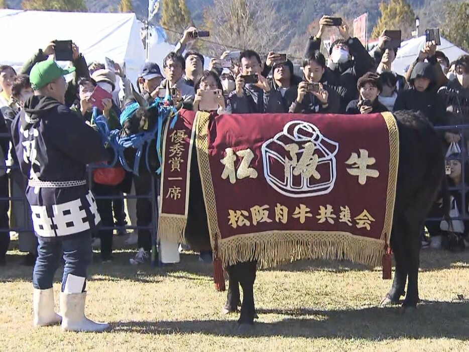 品評会でナンバーワンに選ばれた「ともみ7」 三重県松阪市 2024年11月24日