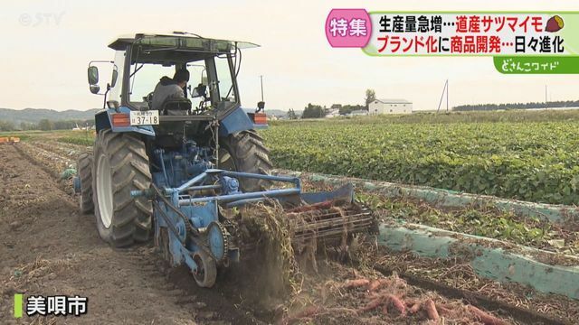 STVニュース北海道