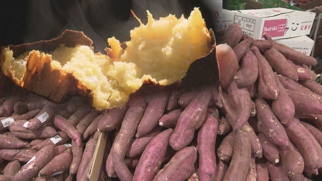 北海道産のサツマイモがいまアツい！