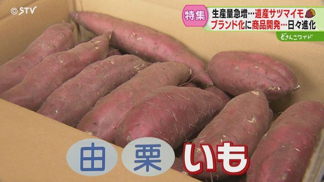 STVニュース北海道