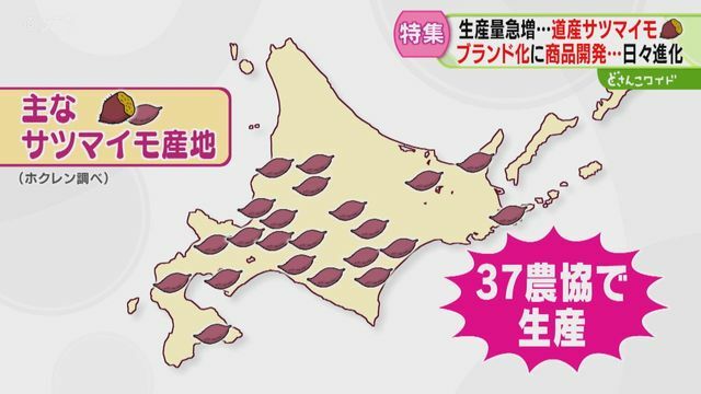 STVニュース北海道