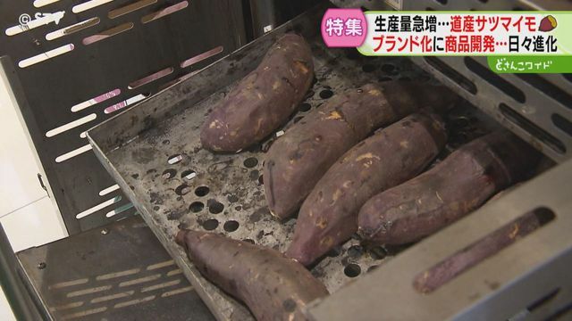 STVニュース北海道