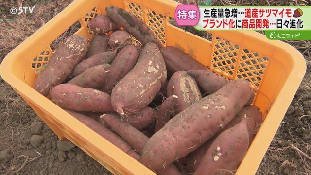 STVニュース北海道