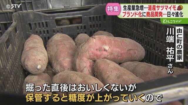 STVニュース北海道