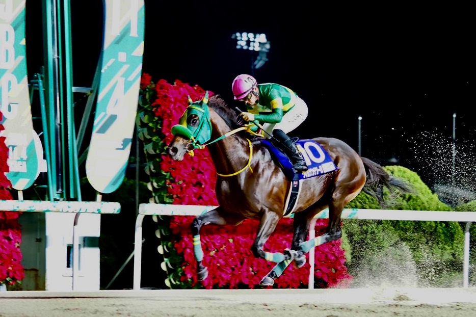 JBCクラシック・ウィルソンテソーロと川田将雅騎手 (C)Y.Shigeyama