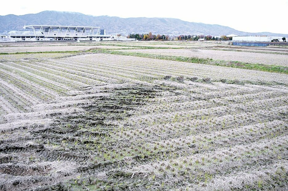 はやしやとナガノトマトが工場立地を予定する農地