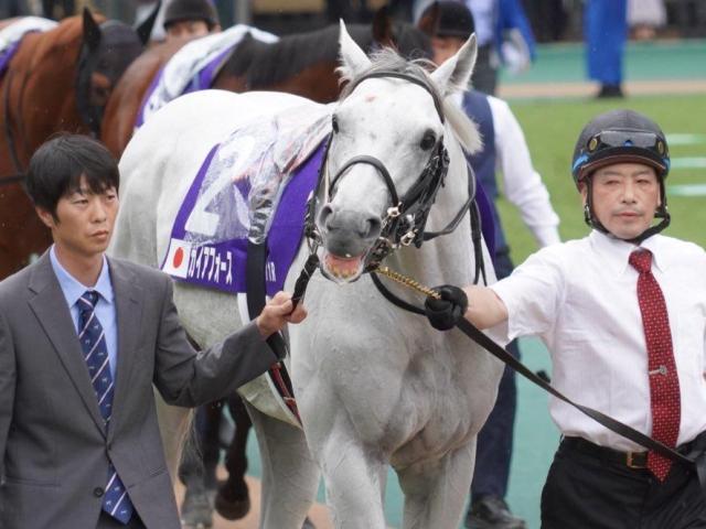 GI初制覇を目指すガイアフォース(今年6月撮影、ユーザー提供：ねこおさん)