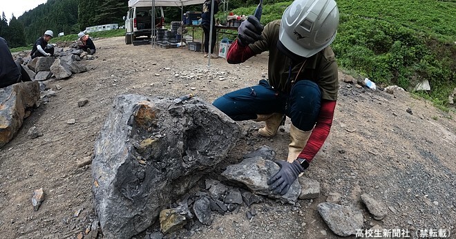 福井県立恐竜博物館による発掘作業の様子