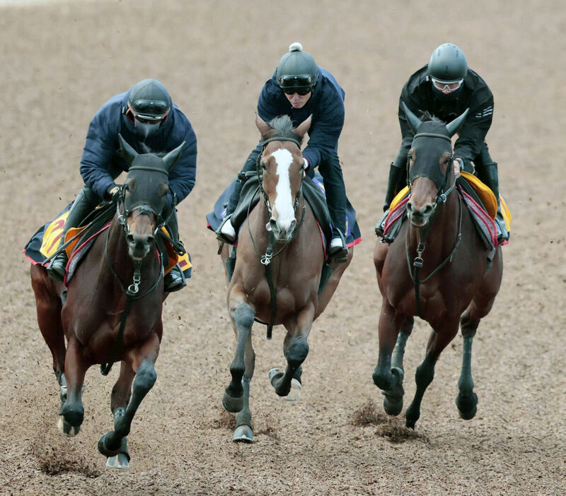 ３頭併せの真ん中でしっかり駆け抜けたチェルヴィニア（中）（カメラ・荒牧　徹）