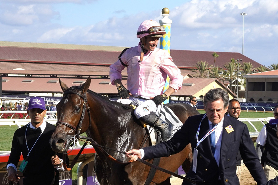 ブリーダーズカップクラシックを制したのは３歳馬シエラレオーネ＝平松さとし氏提供