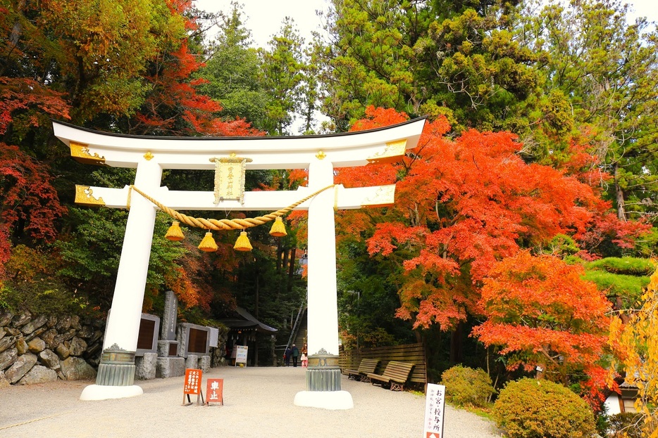 寳登山神社二の鳥居の紅葉