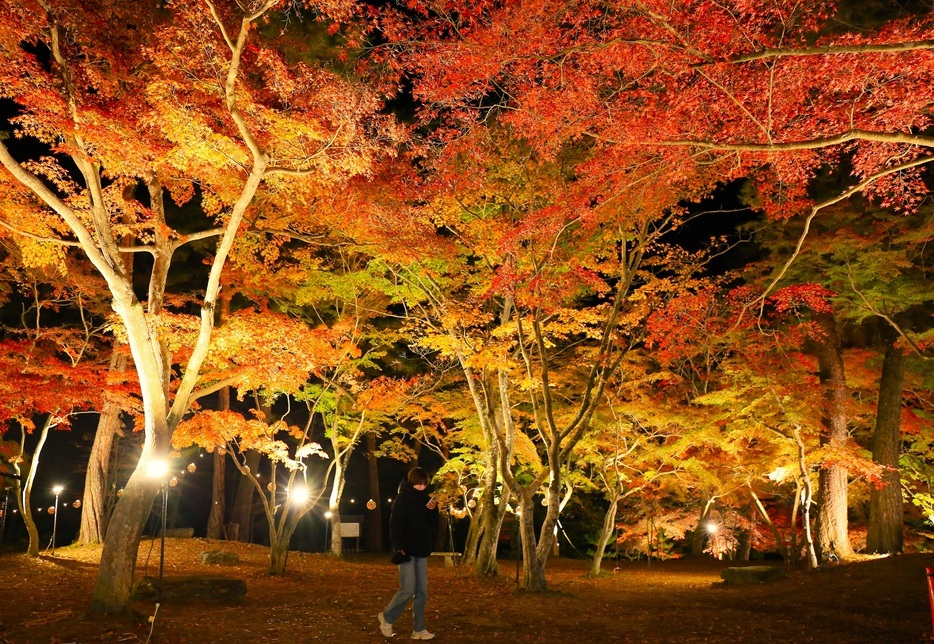 ライトアップされた月の石もみじ公園