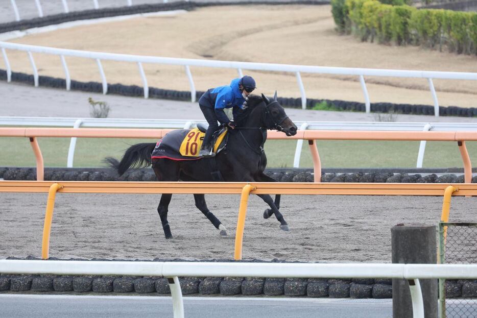 フルール＝美浦トレセン（撮影・塩浦孝明）