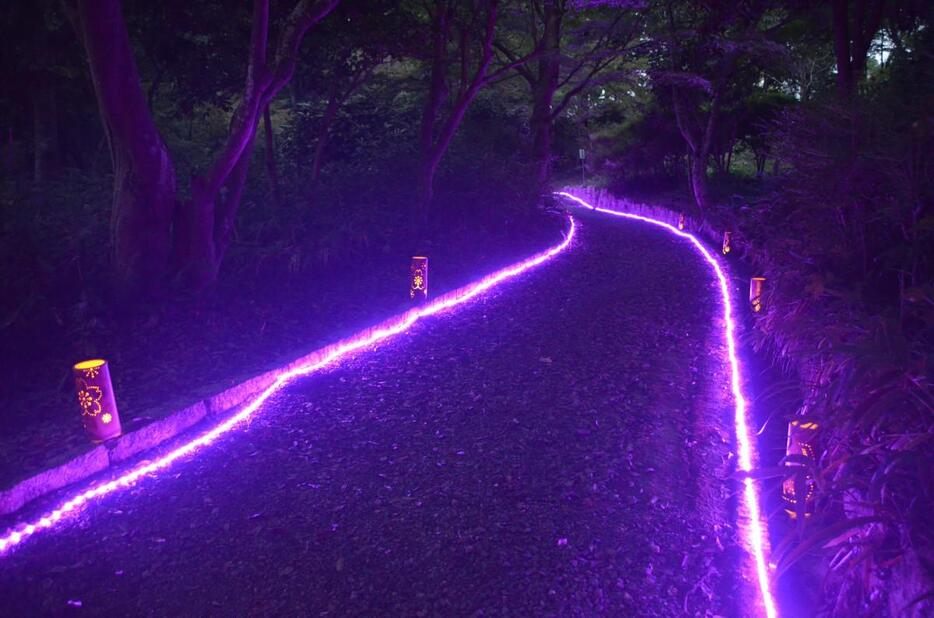 今年から新たに設けられる「ふじ色の小径」（写真提供：藤岡観光協会）