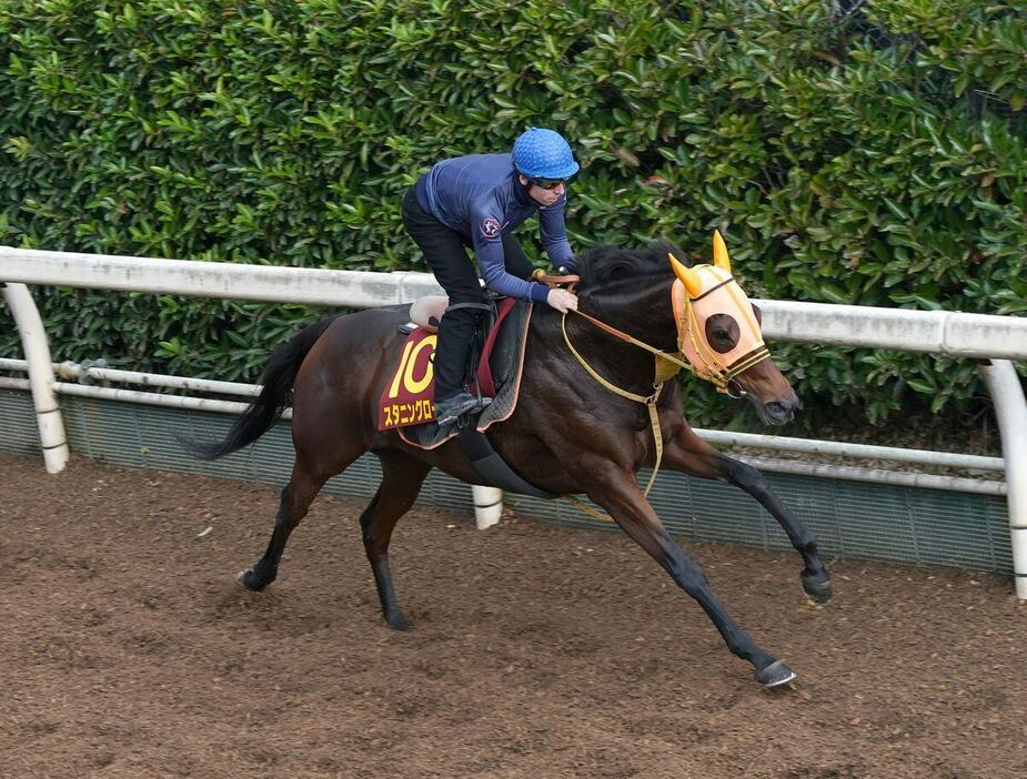 スタニングローズはＣ・デムーロ騎手が騎乗して坂路で最終追い切りを行った＝栗東トレセン（撮影・岩川晋也）