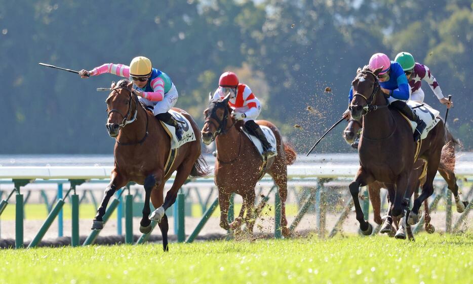 　新馬戦を快勝したウォータークラーク（左）＝撮影・石湯恒介