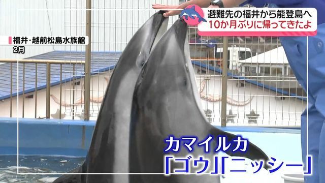 テレビ金沢NEWS