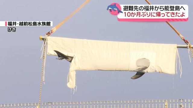 テレビ金沢NEWS