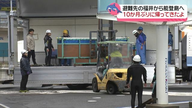 テレビ金沢NEWS