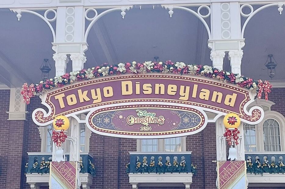 ディズニーランドのパーク写真