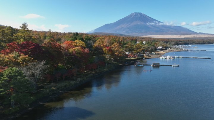 テレビ山梨