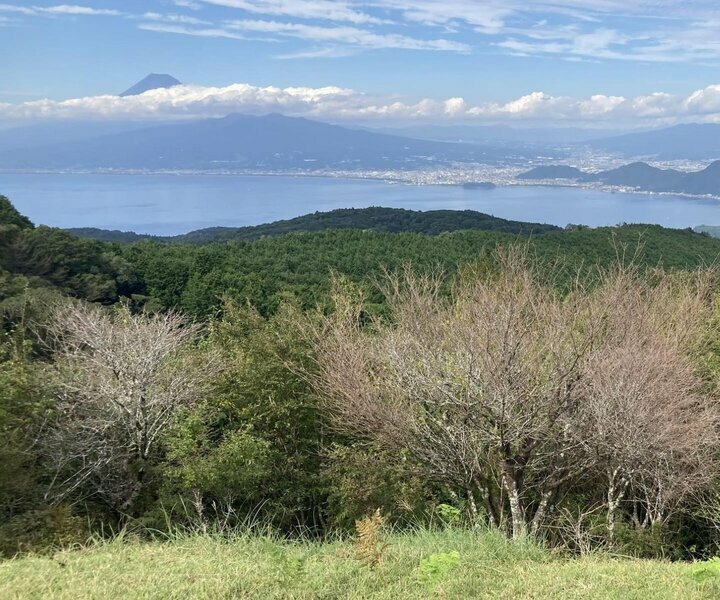 だるま山高原レストハウスから望む富士山