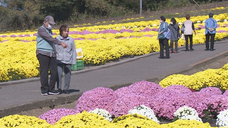 （写真：群馬テレビ）