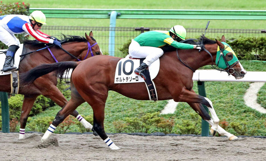 デビューVを飾ったボルトテソーロ（右）（カメラ・荒牧　徹）