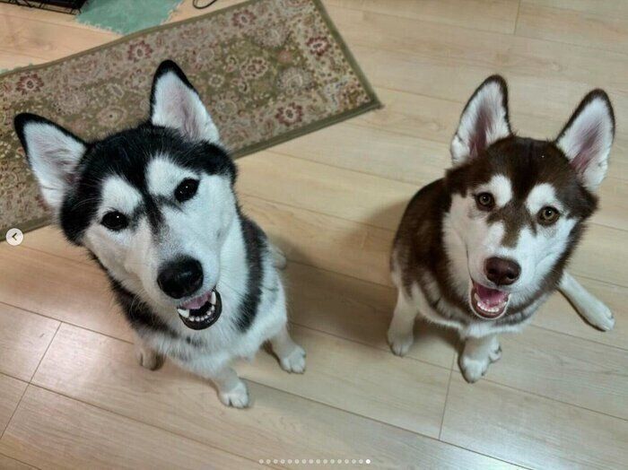 《写真左から》すずらんちゃん（撮影時1才）、りらちゃん（撮影時、生後6カ月）