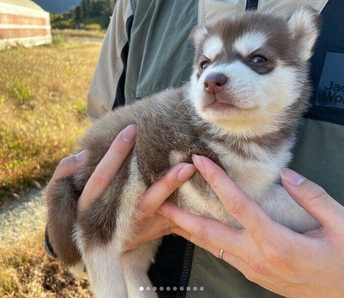 りらちゃんと初対面したときの様子