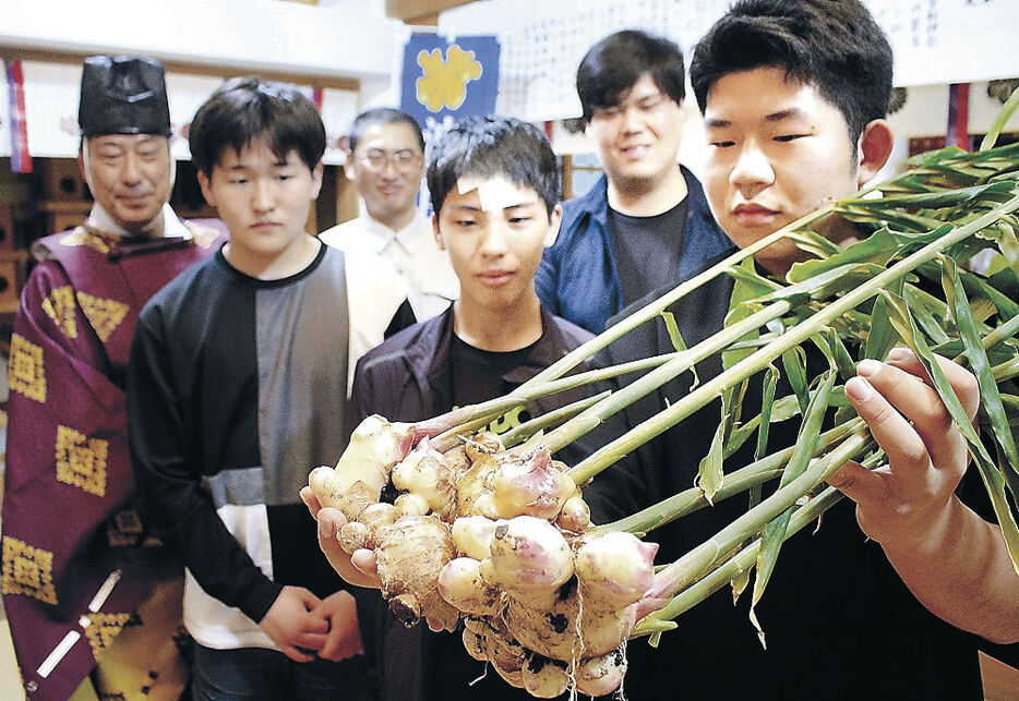 波自加彌神社に奉納された犀川地区産のショウガ＝花園八幡町