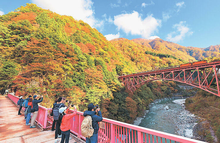 色づいた山々の間を、ゆっくりと進むトロッコ電車