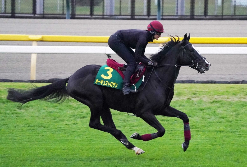 芝コースを併せで追い切るオーギュストロダン（撮影・村上大輔）