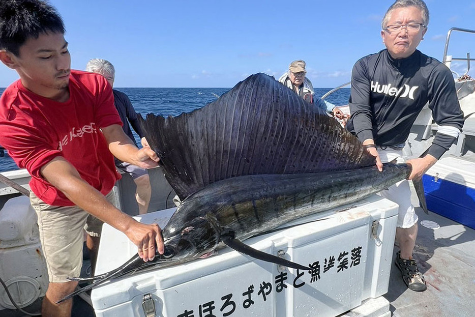 大和村今里集落沖で釣り上げたバショウカジキ（提供写真）