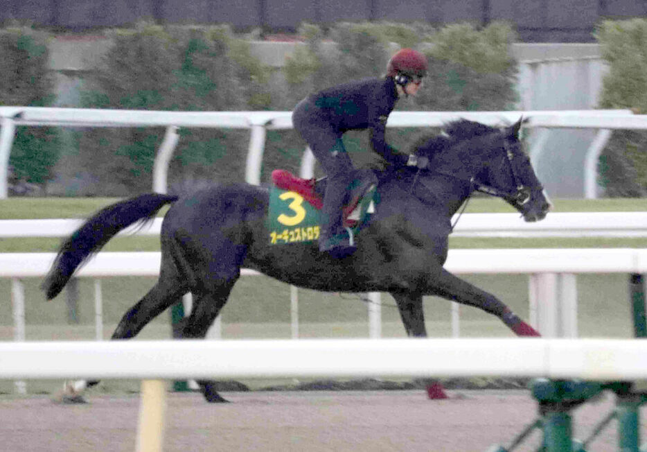 ジャパンカップに出走するオーギュストロダン（東京競馬場）