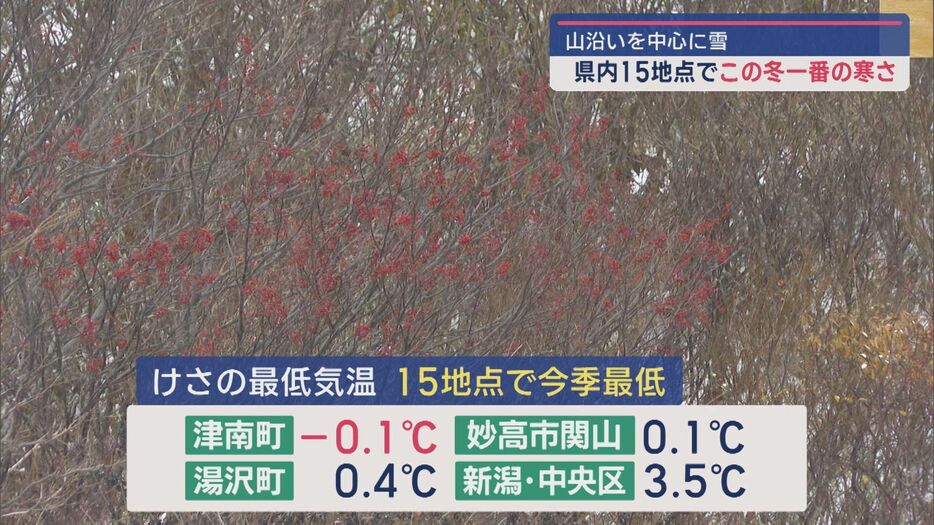 19日朝の最低気温