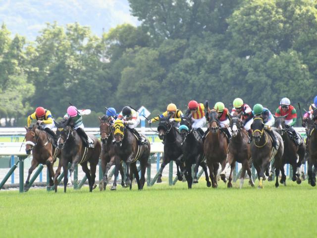 マイルCSが行われる京都競馬場(c)netkeiba