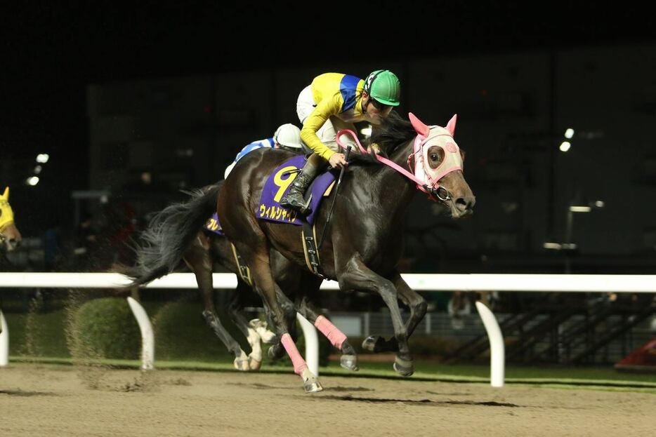 ローレル賞を制したウィルシャイン＝川崎競馬場（撮影・大貫師男）