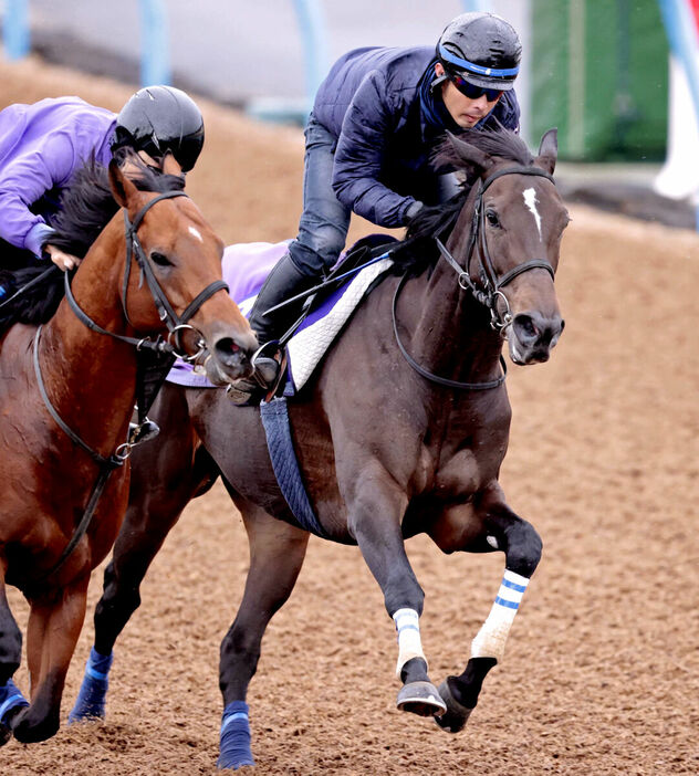 Wコースで追い切ったスターズオンアース（右）はリプレゼントと併せ馬（カメラ・荒牧　徹）