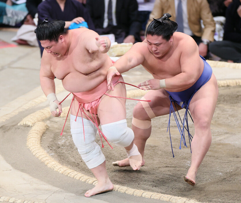 若隆景（右）は宇良を押し出しで下す＝２３日、福岡国際センター